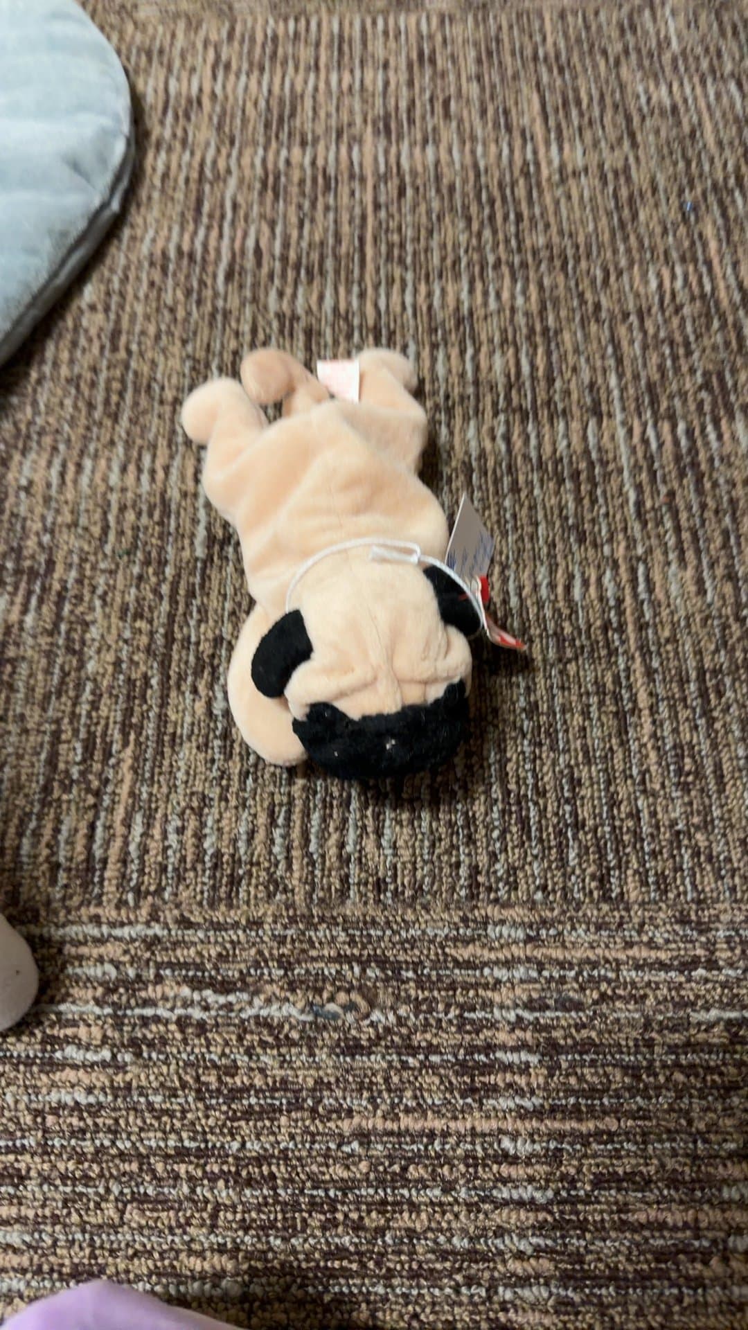 Ty Beanie Baby Pug Plush Toy - Image 1