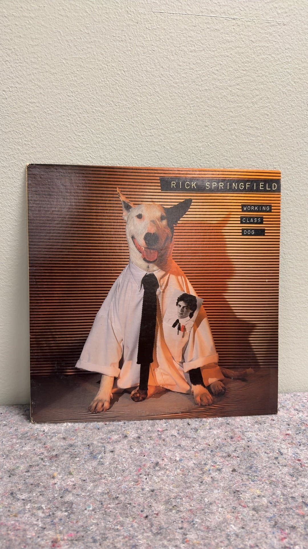 Rick Springfield - Working Class Dog Vinyl Record - Image 1