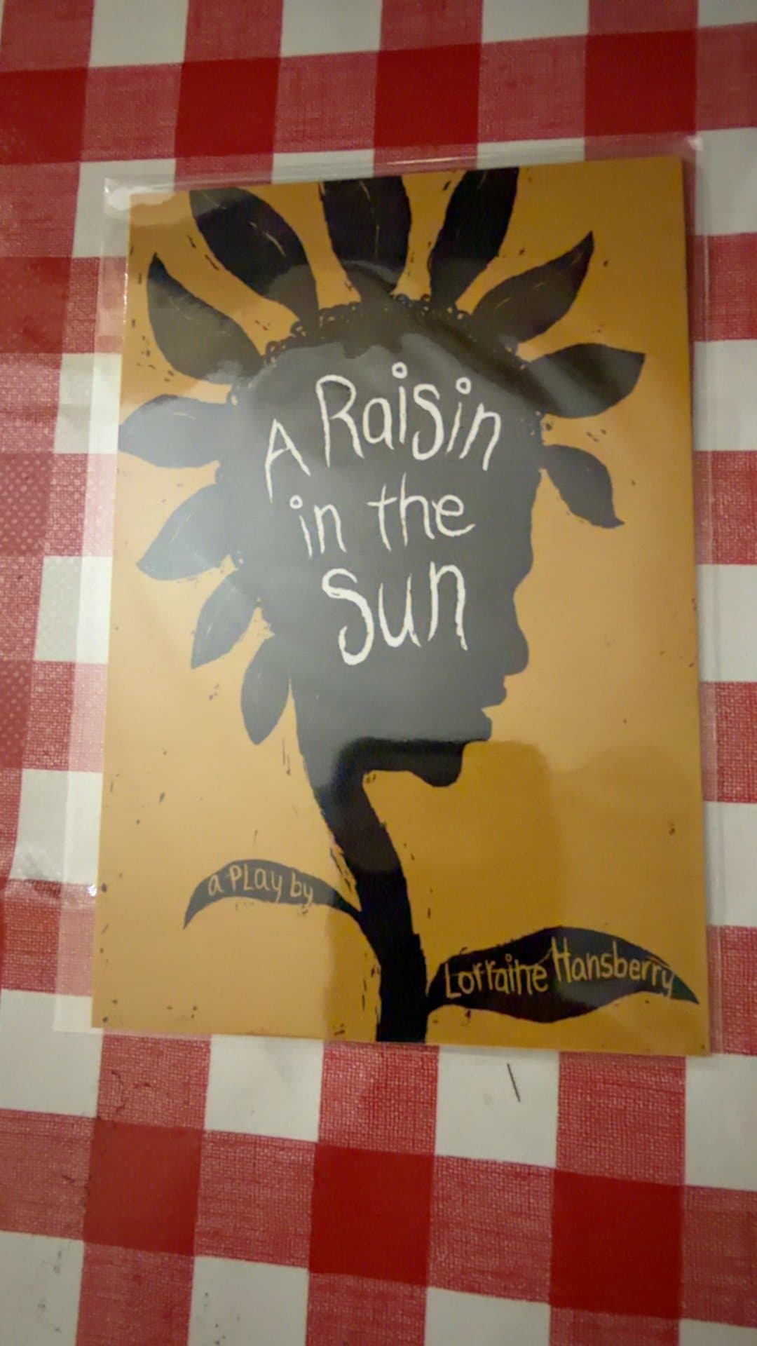 A Raisin in the Sun Poster - Image 1