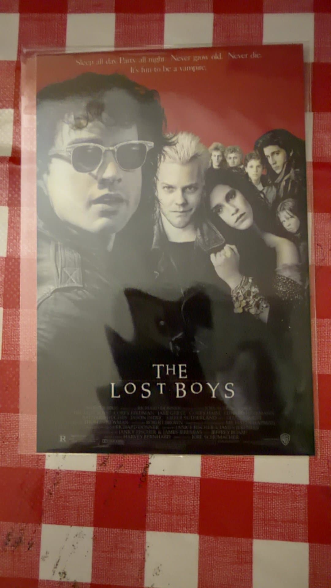 The Lost Boys Movie Poster - Image 1