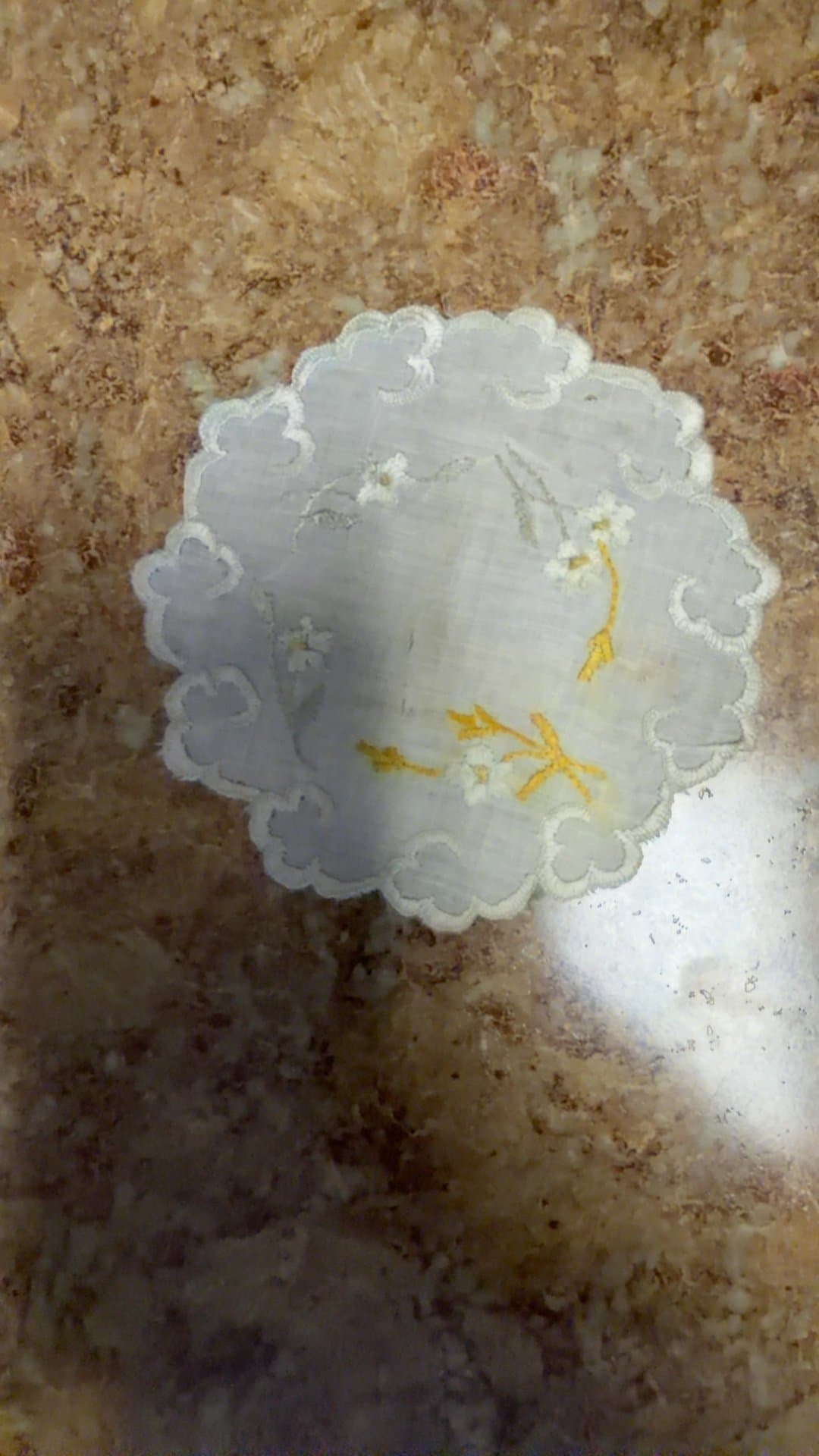 Vintage Embroidered Doily - Image 1