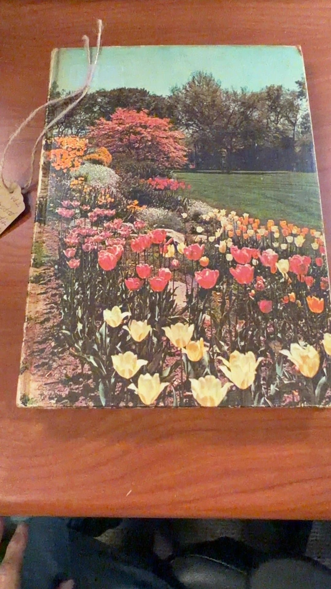New Illustrated Encyclopedia of Gardening Vol. 2 - Image 1