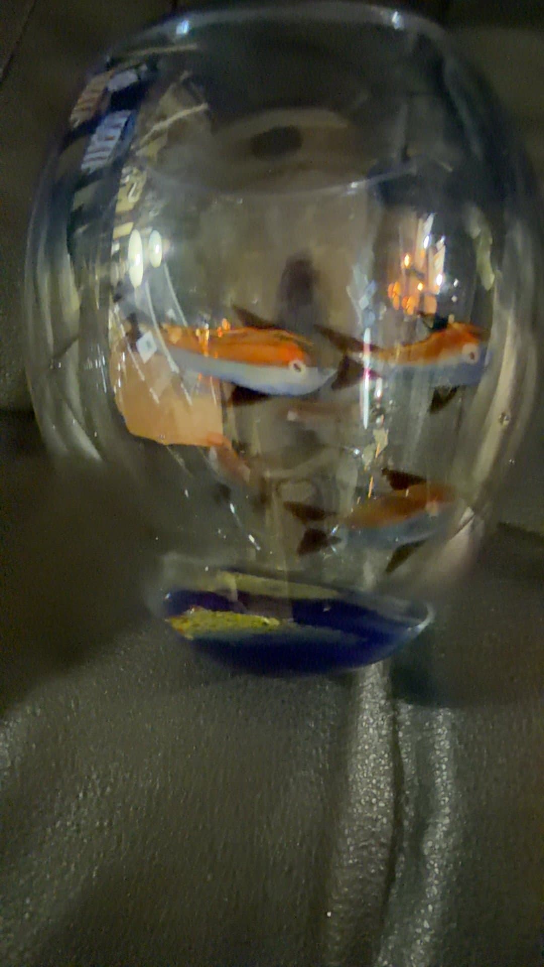 Murano Style Handblown Aquarium Vase