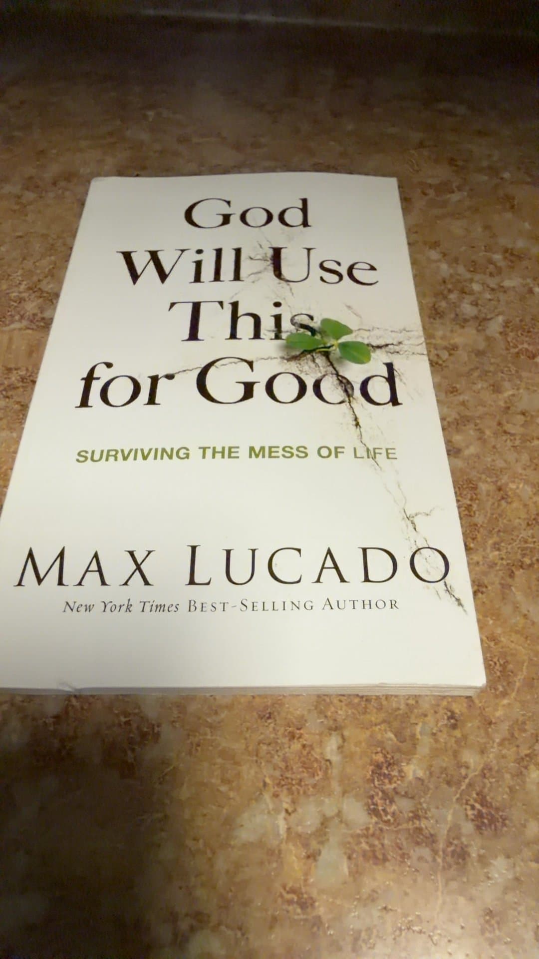 God Will Use This for Good by Max Lucado - Image 1