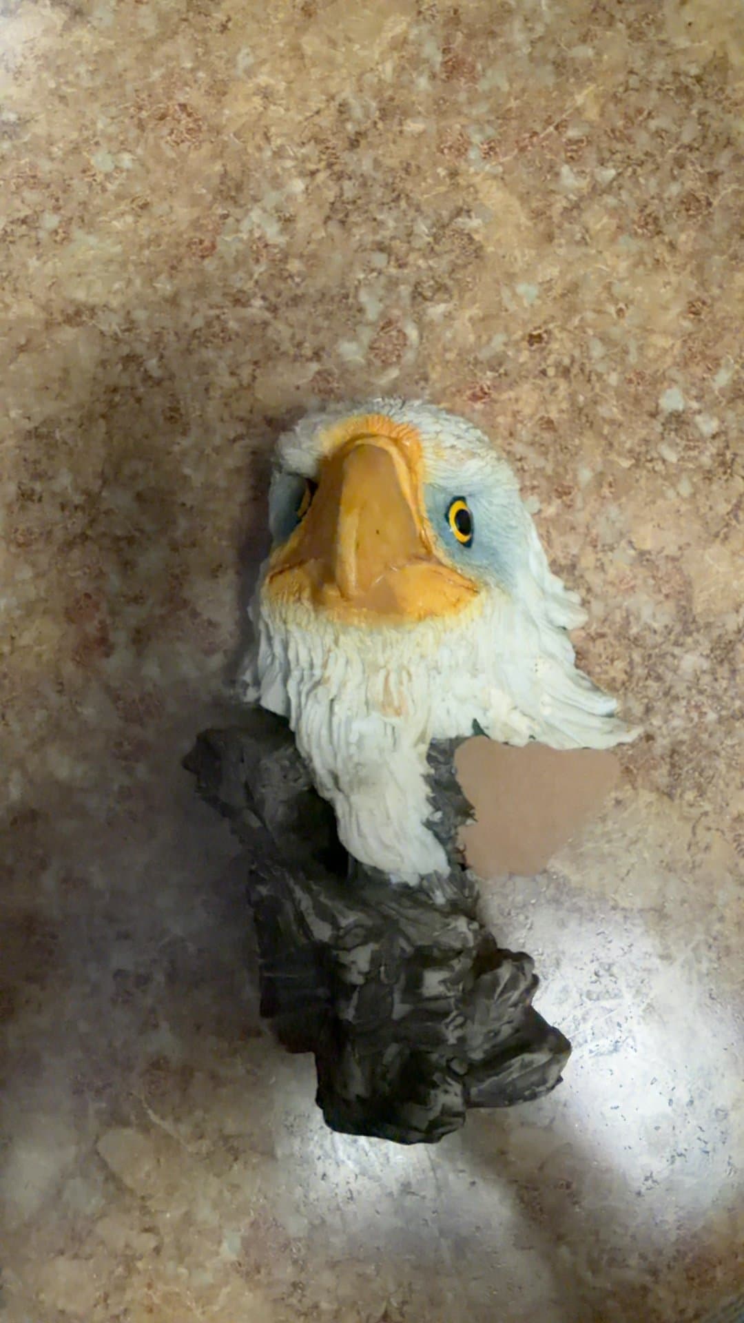 Resin Bald Eagle Head Bust Figurine - Image 1