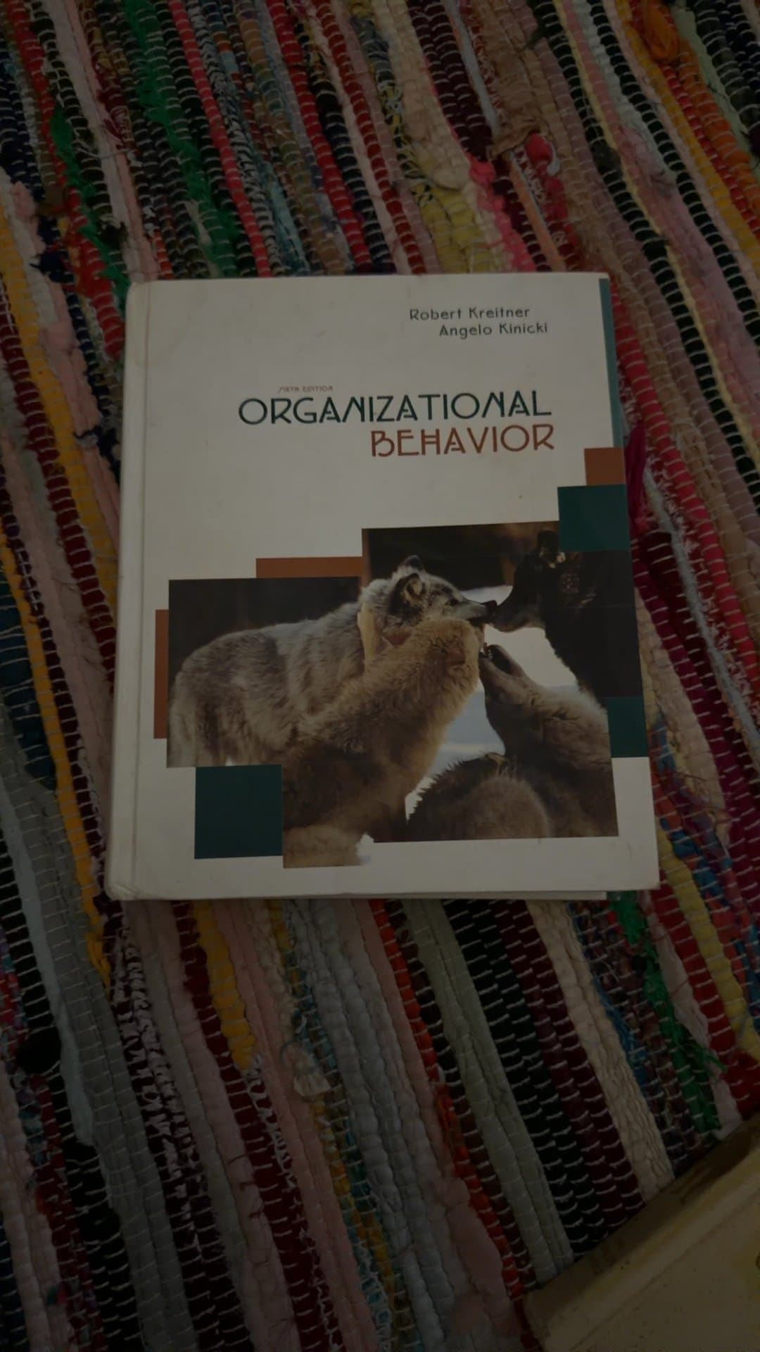 Organizational Behavior Textbook, 5th Edition - Image 1