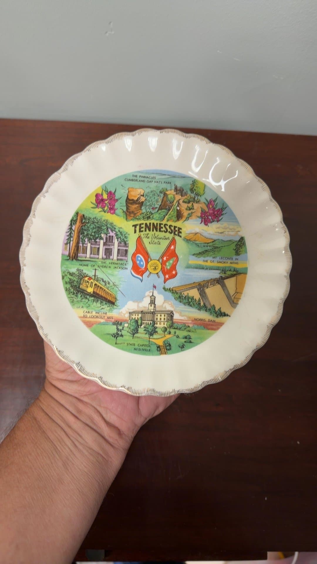 Tennessee Souvenir Decorative Plate - Image 1