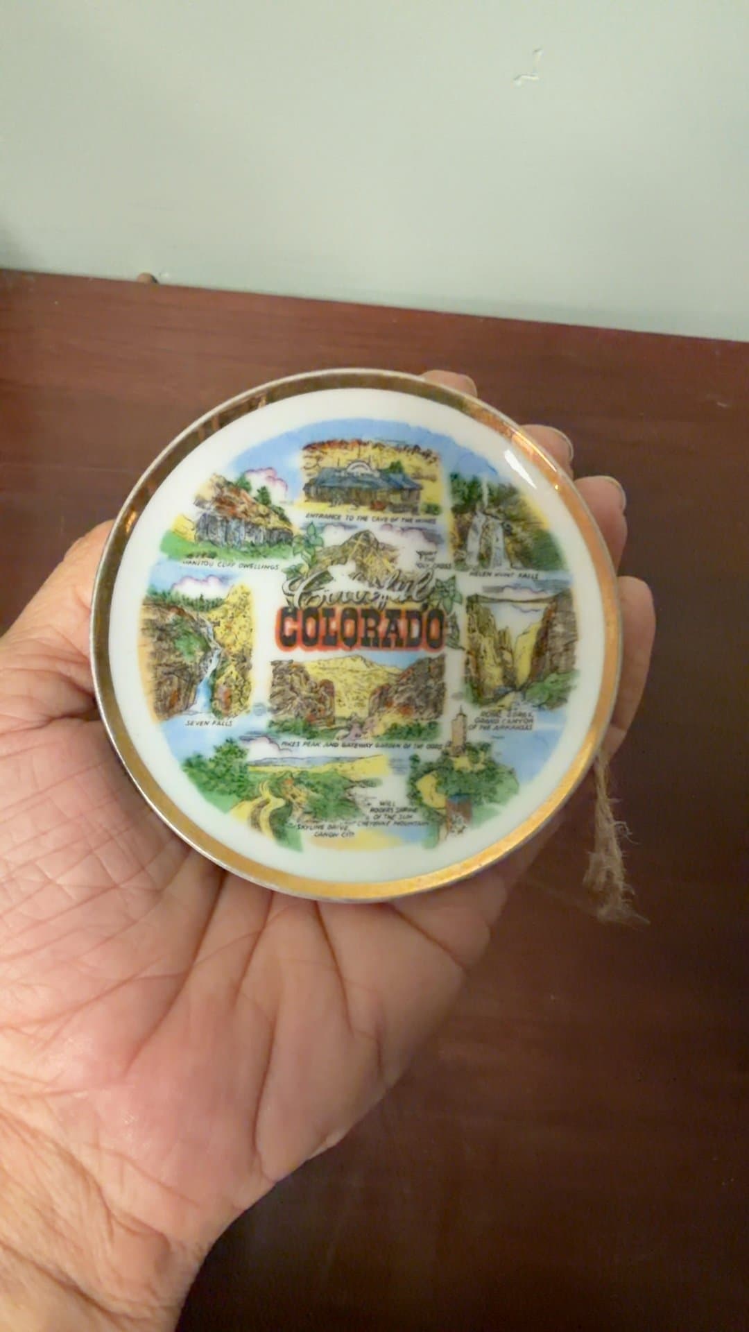 Colorado Souvenir Decorative Plate - Image 1
