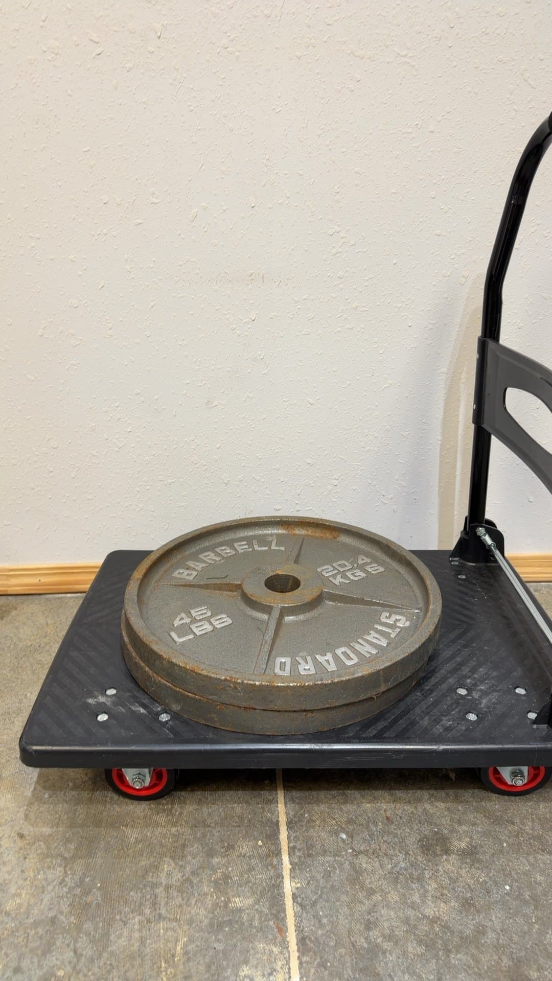 Pair of Standard Barbell 45 lb Cast Iron Weight Plates - Image 1