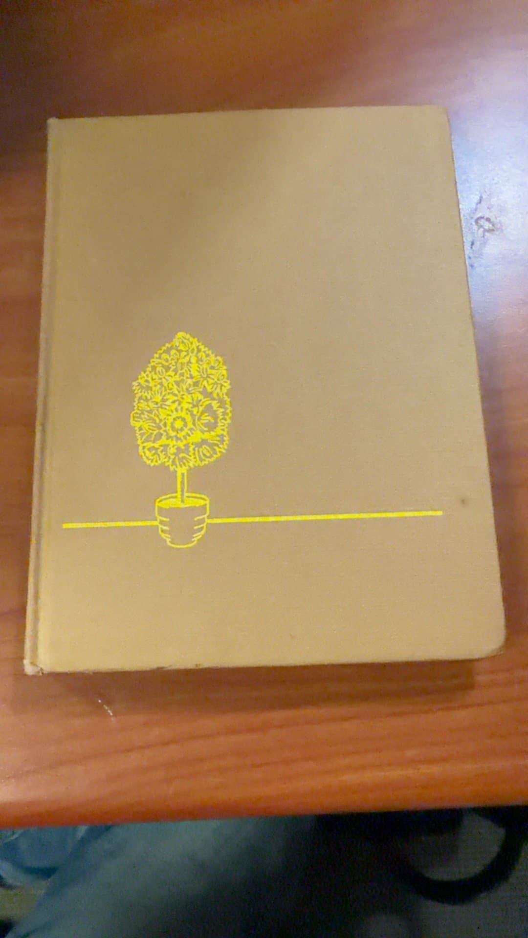 Decorating with Pods and Cones Book - Image 1