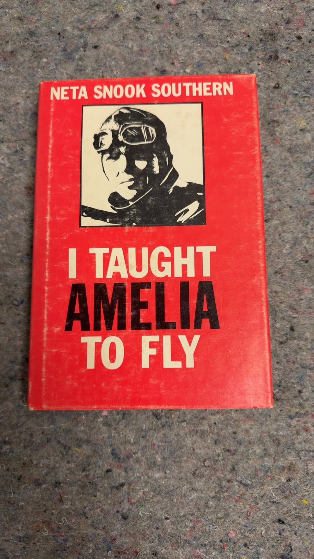 I Taught Amelia to Fly by Neta Snook Southern - Image 1