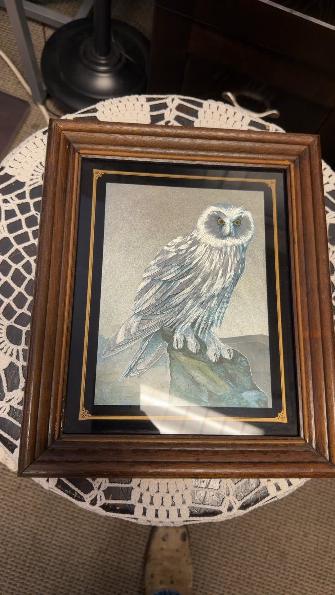 Framed Great Grey Owl Metallic Foil Art Print