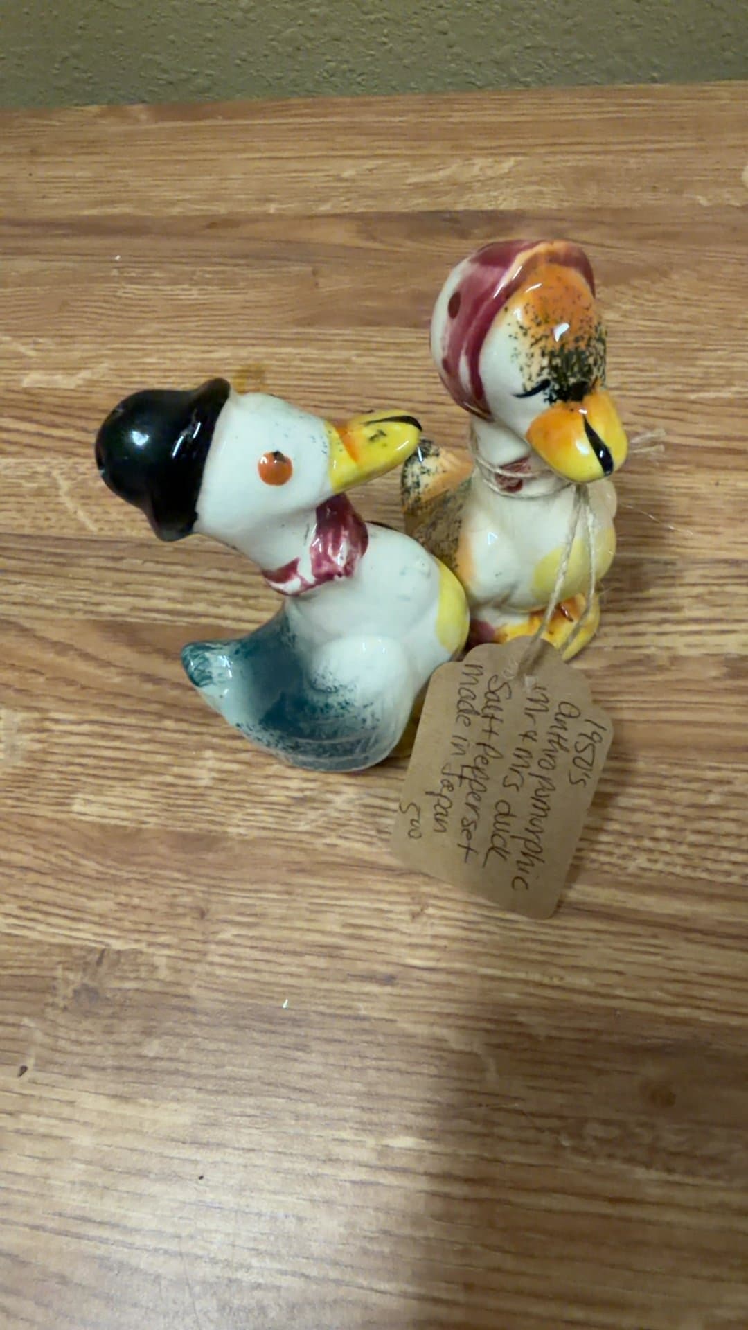 1950s Anthropomorphic Mr. & Mrs. Duck Salt & Pepper Shaker Set - Image 1