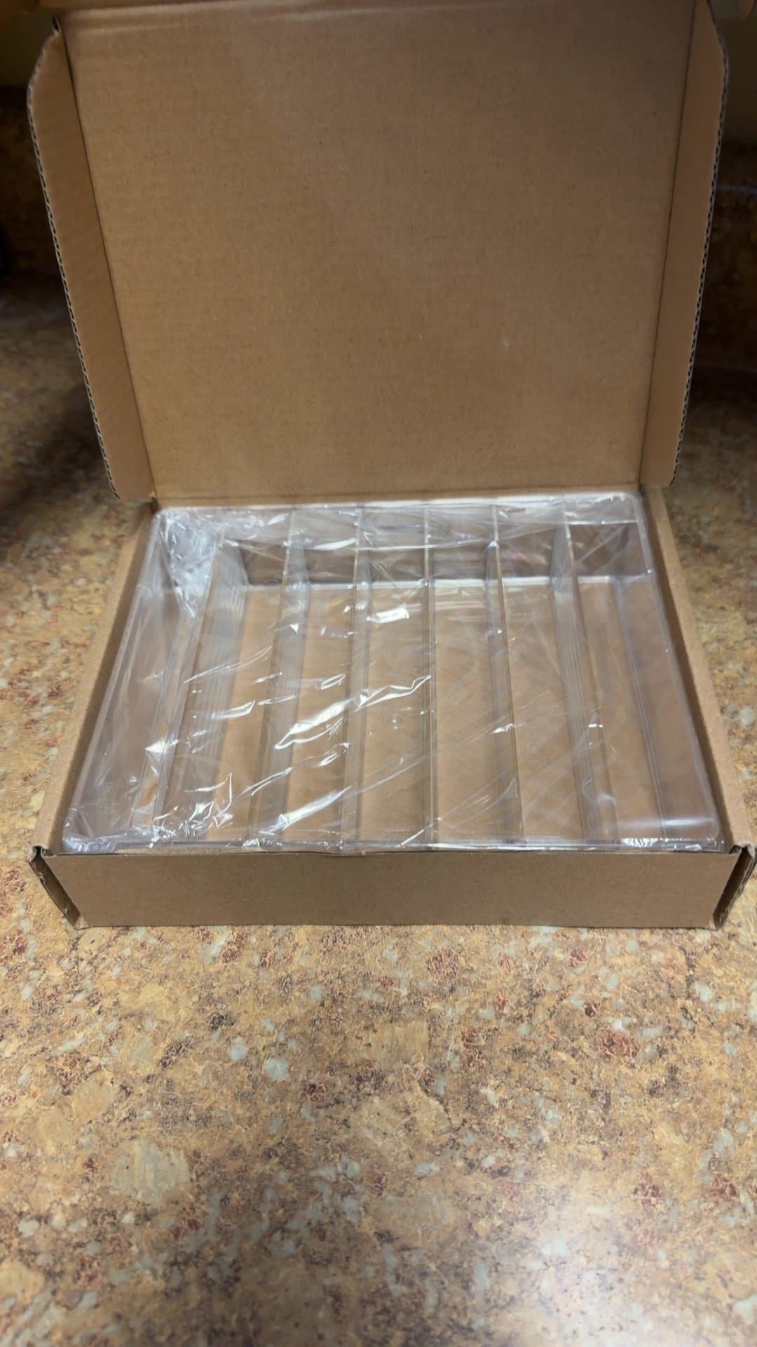 Cardboard Box with Plastic Dividers - Image 1