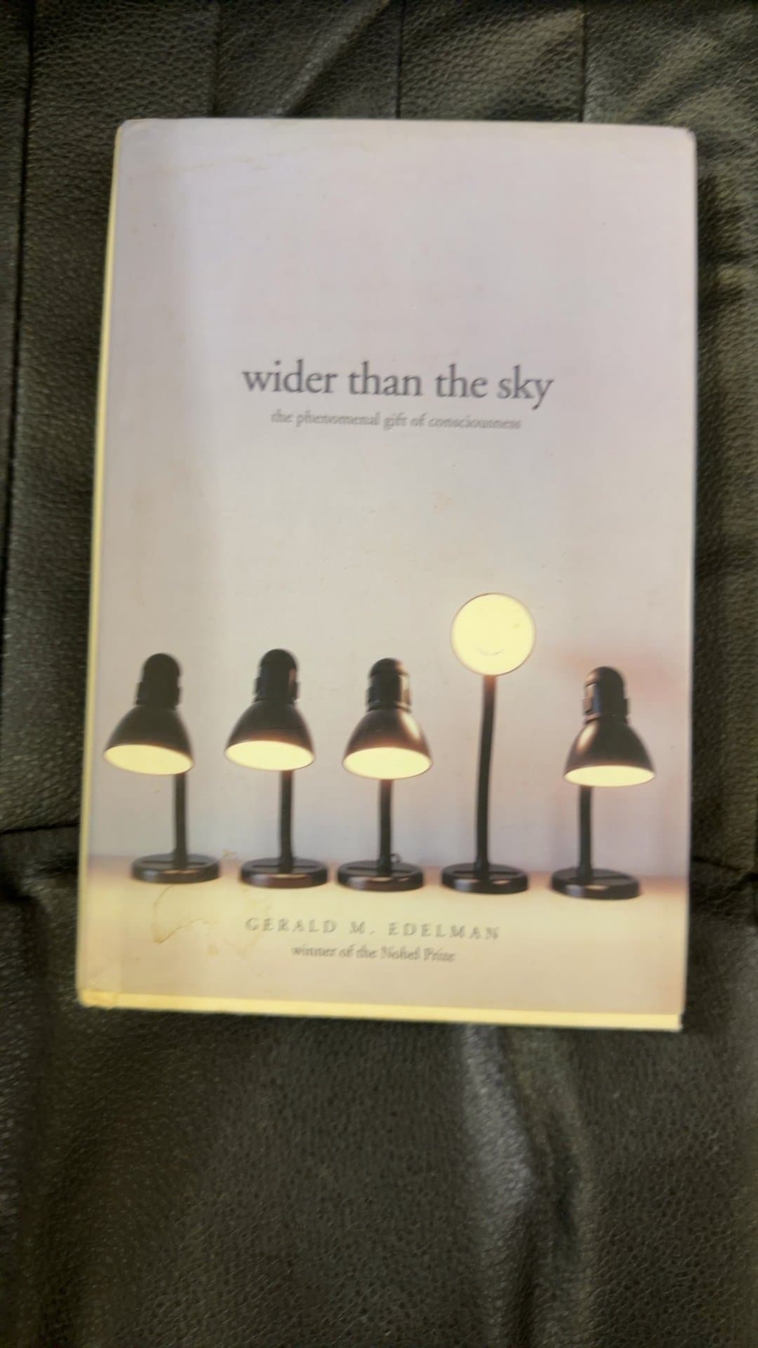 Wider Than the Sky: The Phenomenal Gift of Consciousness by Gerald M. Edelman - Image 1