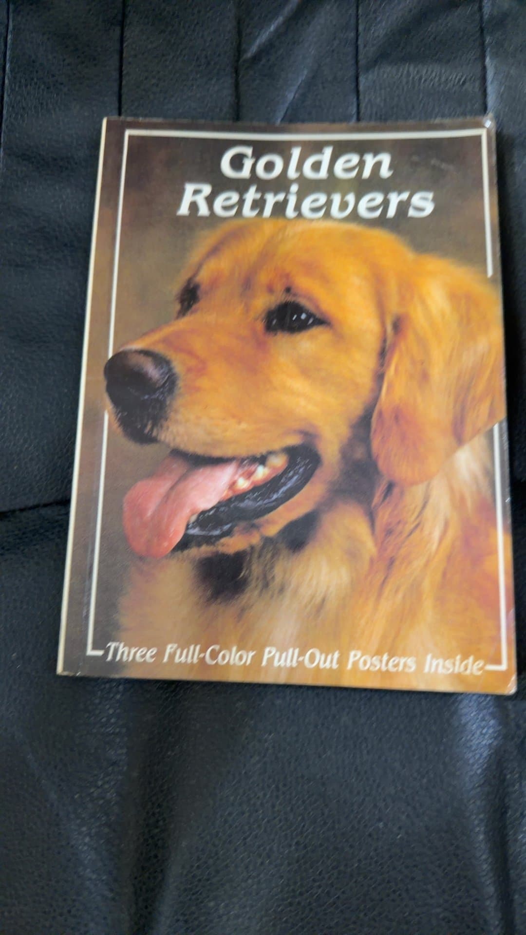 Golden Retrievers Book with Pull-Out Posters - Image 1