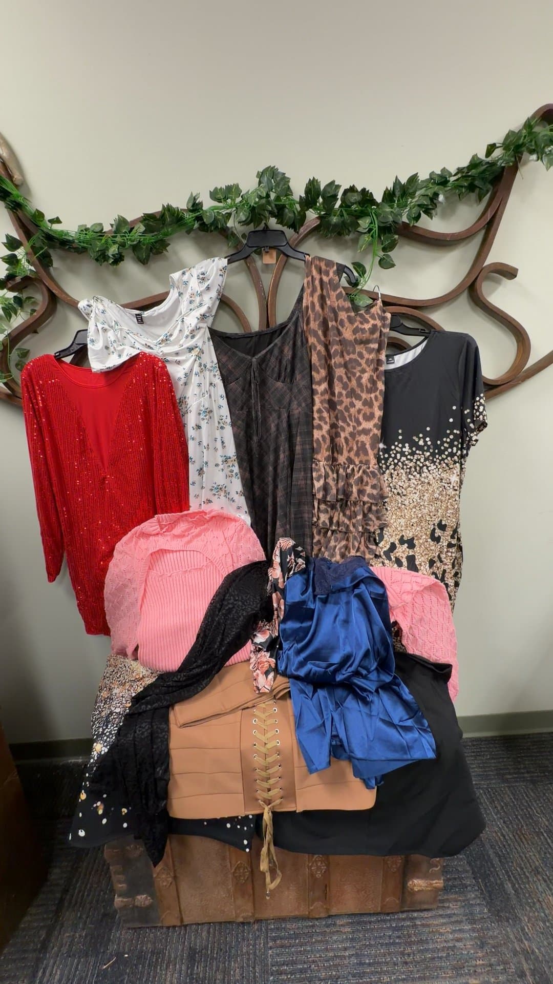 Assorted Women's Dresses and Tops Collection - Image 1