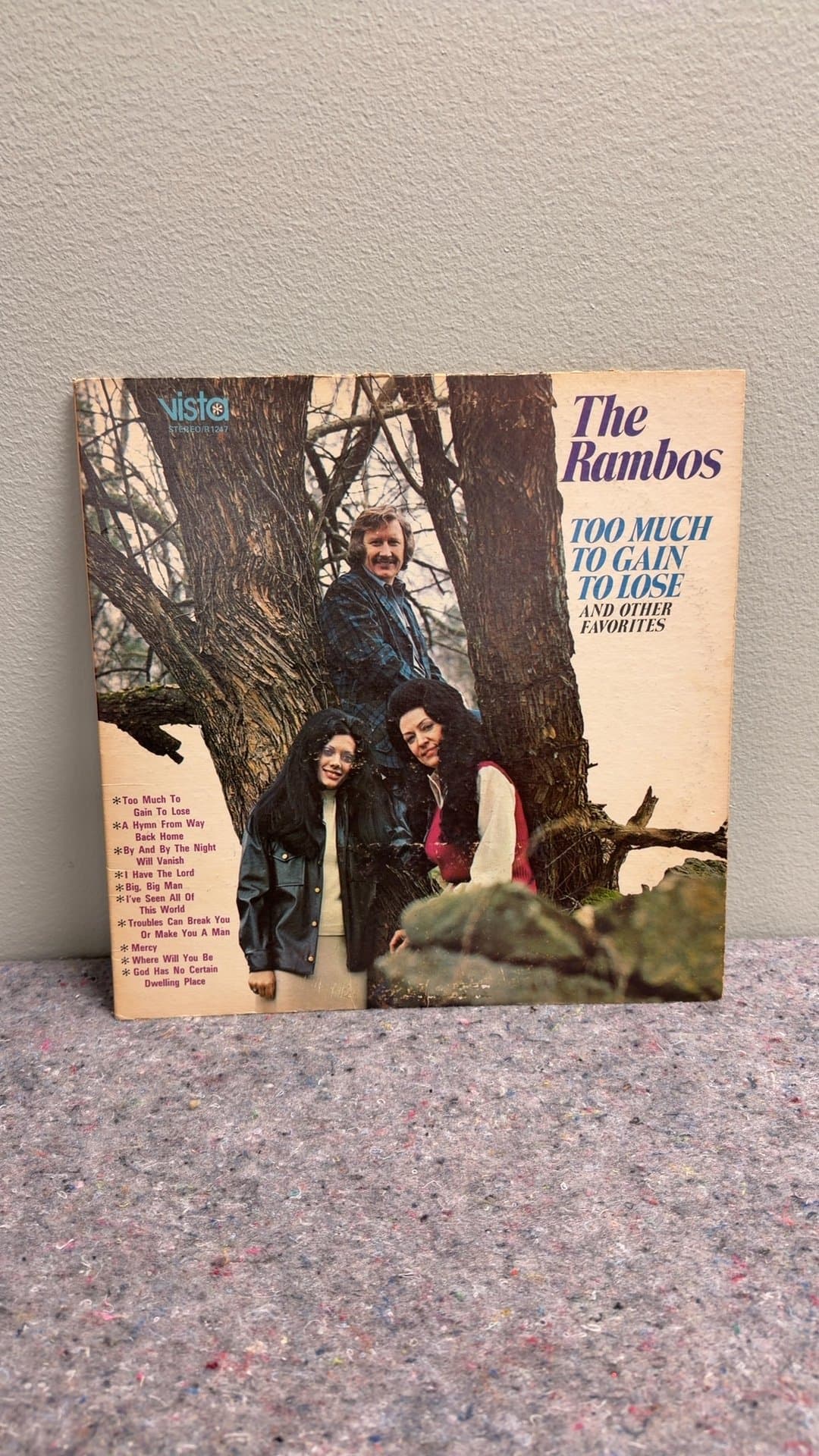 The Rambos - Too Much to Gain to Lose Vinyl Record - Image 1