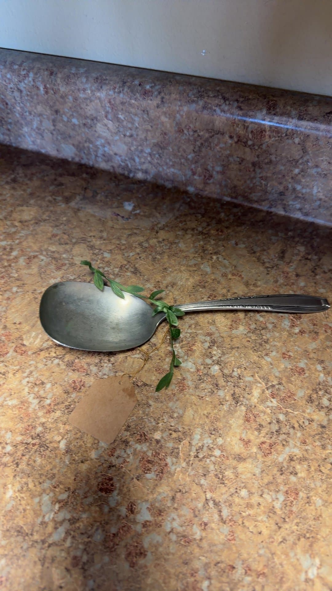 Vintage Silver Spoon with Decorative Vine - Image 1