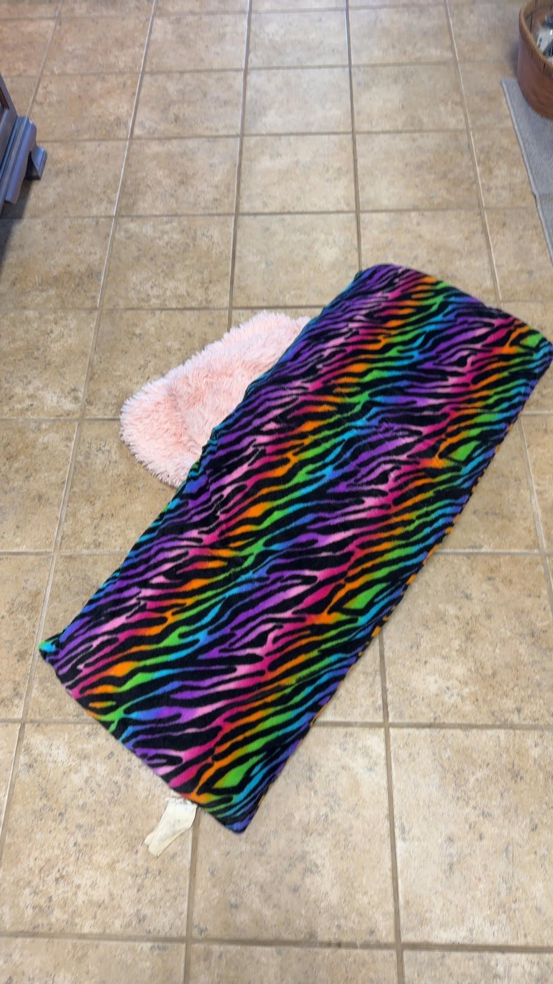 Rainbow Zebra Print Body Pillow and Pink Fleece Blanket - Image 1
