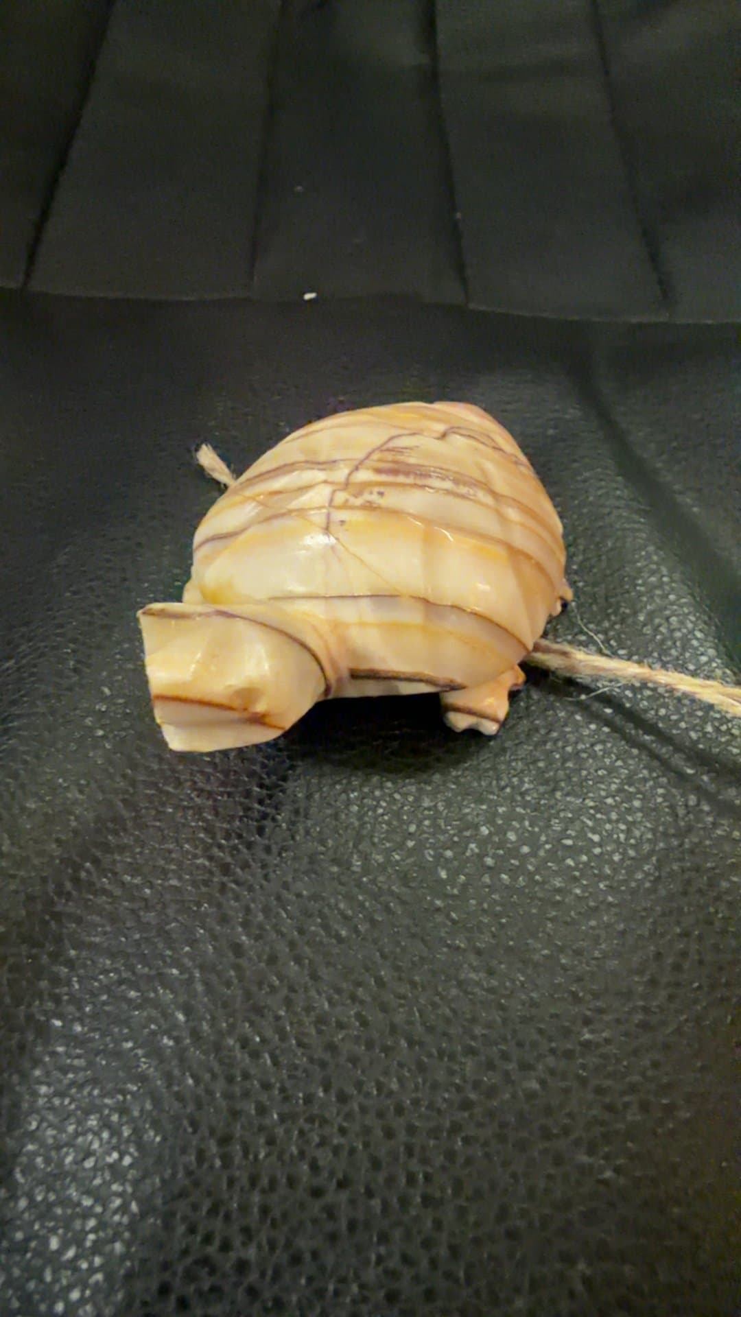 Multi-Banded Onyx Turtle Figurine - Image 1