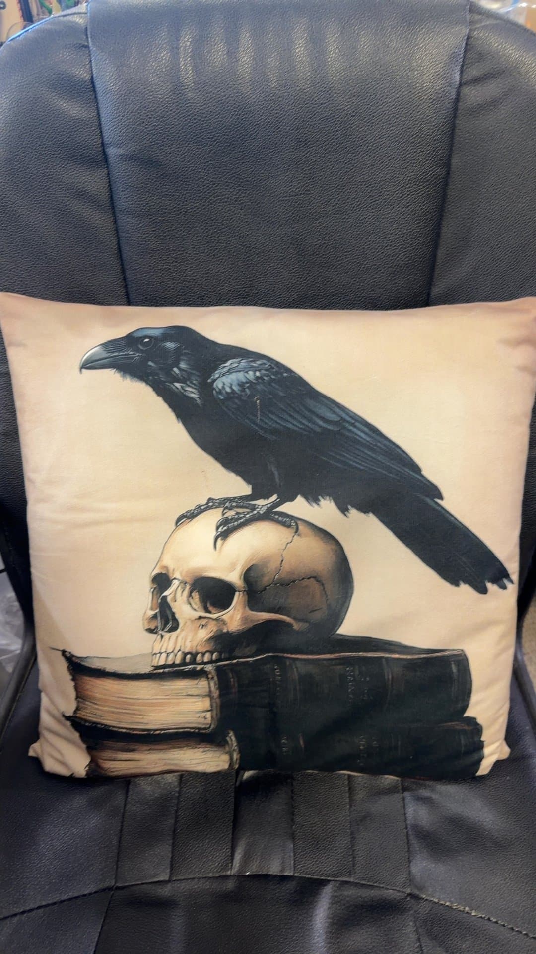Raven and Skull Decorative Throw Pillow - Image 1