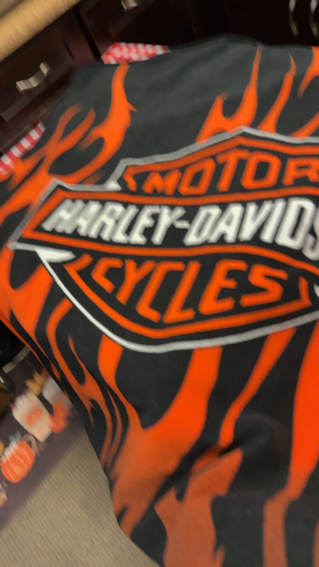 Harley-Davidson Packable Travel Picnic Mat Blanket - Image 1