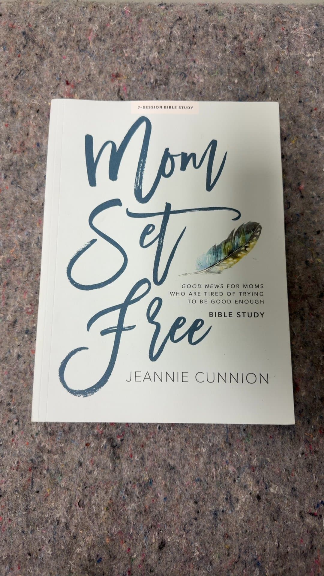Mom Set Free: Bible Study by Jeannie Cunnion - Image 1