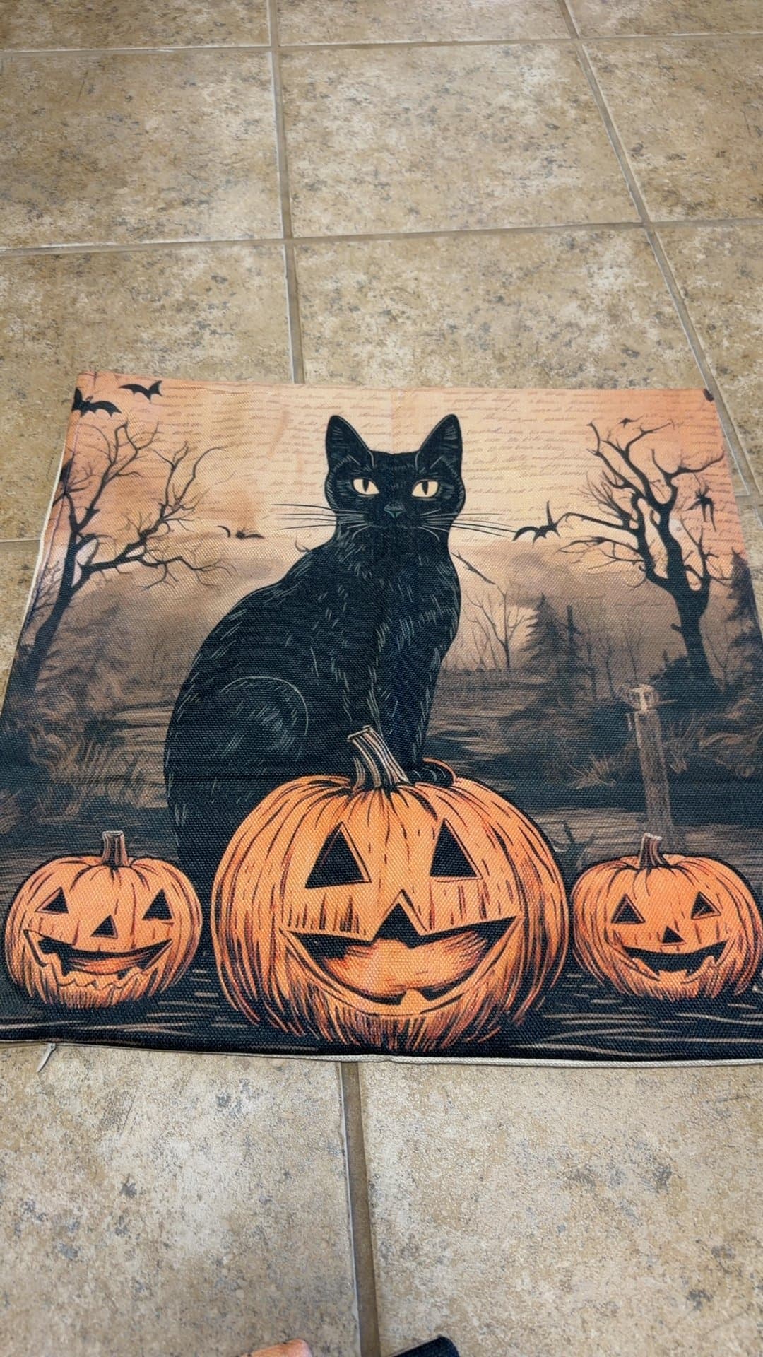 Halloween Black Cat and Jack-o'-Lantern Pillow - Image 1