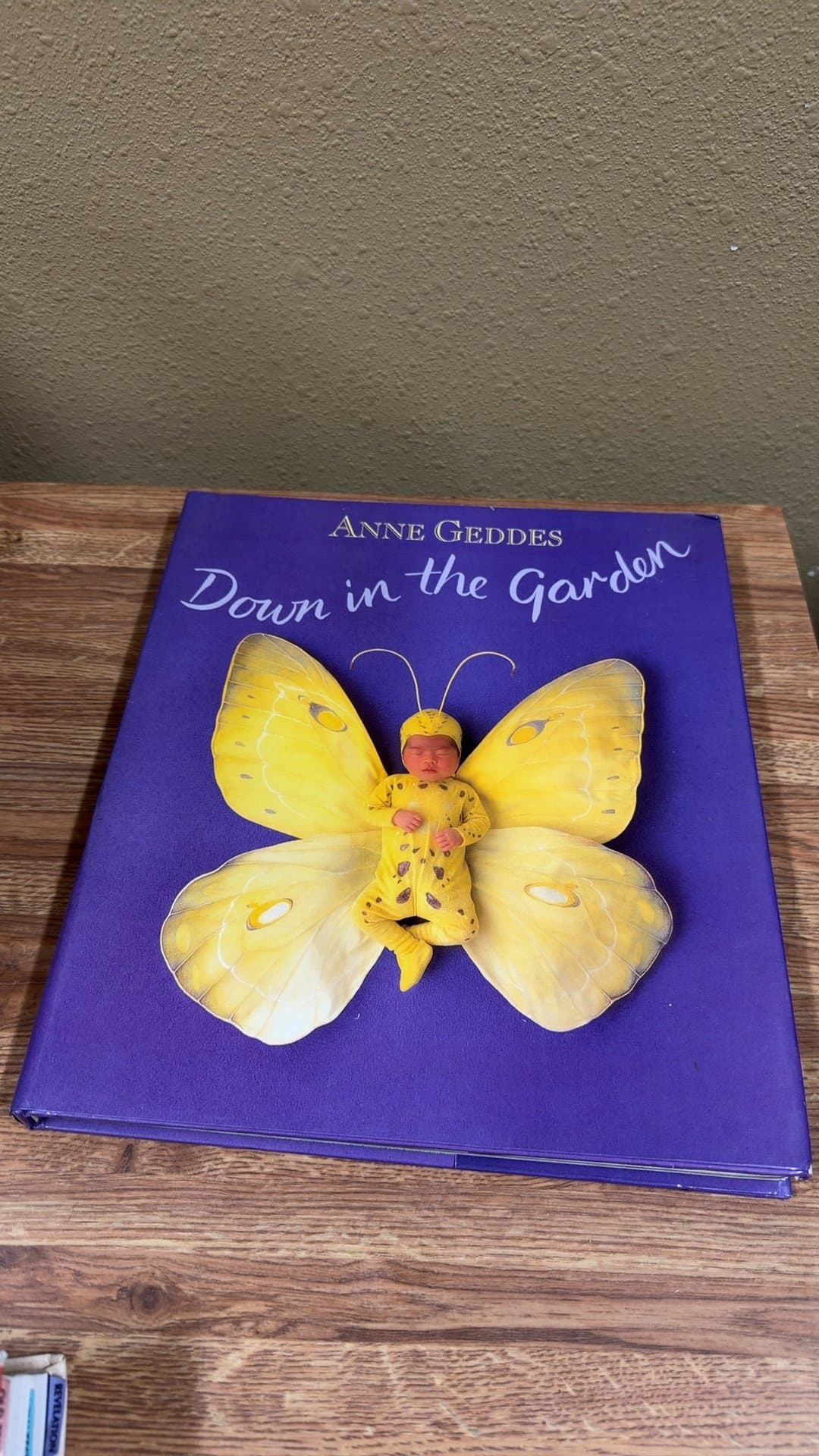 Anne Geddes 'Down in the Garden' Book - Image 1