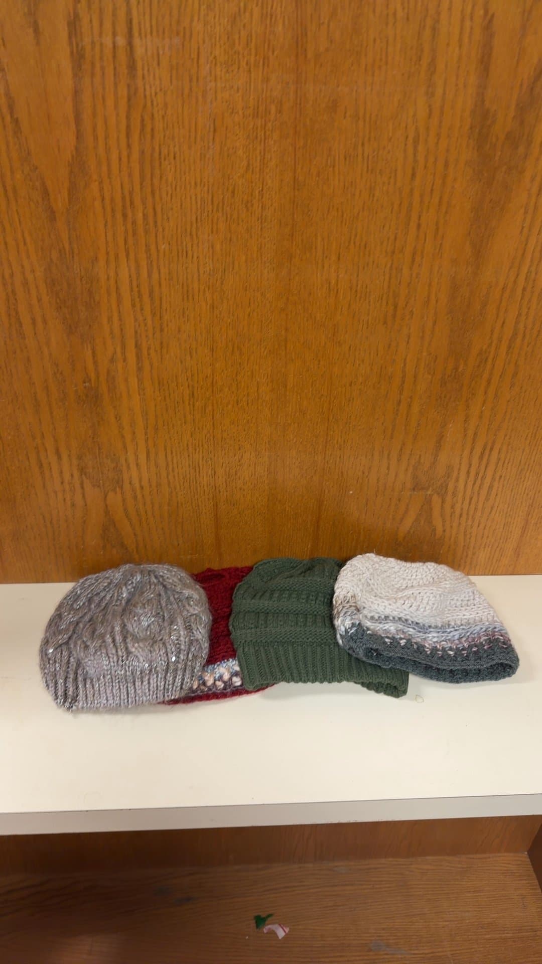 Assorted Women's Knit Beanies and Ponytail Hats - Lot of 4 - Image 1